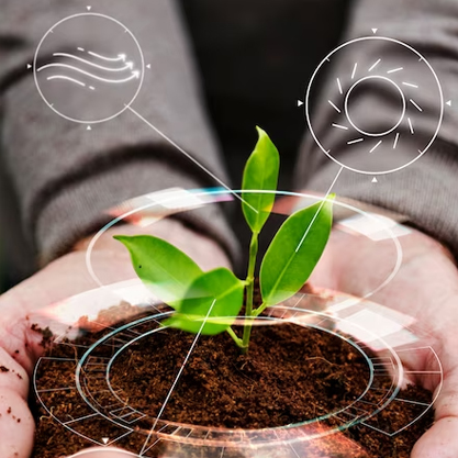 synergies-poissons-plantes synergies-poissons-plantes